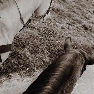 Meet your Posher, Candy